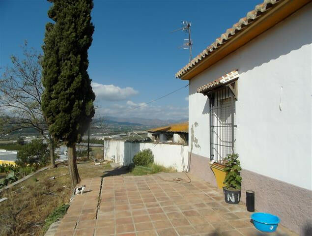 Finca - Cortijo Vélez-Málaga Málaga - imagen 15