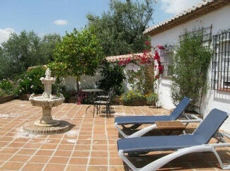 Finca - Cortijo Alcaucín Málaga - imagen 15