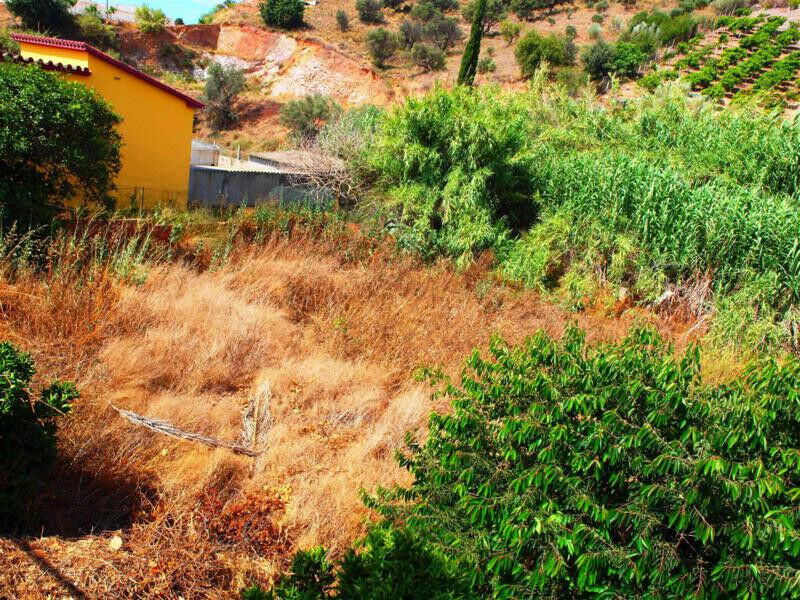 Finca - Cortijo Almayate Málaga - imagen 15