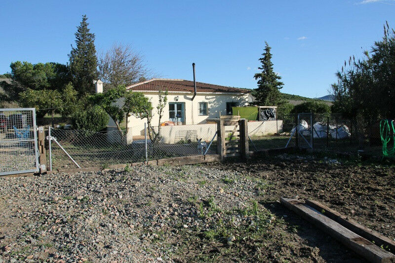 Finca - Cortijo Jimena de la Frontera Cádiz - imagen 15