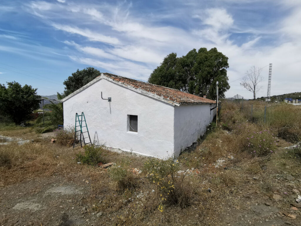 Finca - Cortijo Triana Málaga - Bild 15
