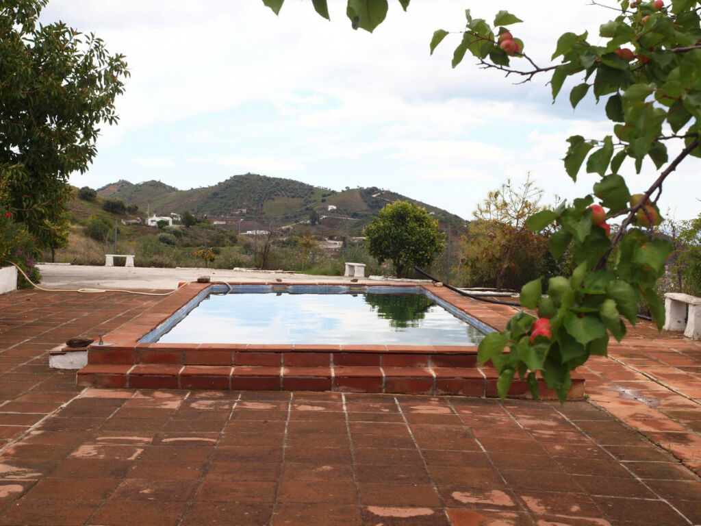 Finca - Cortijo Iznate Málaga - imagen 16