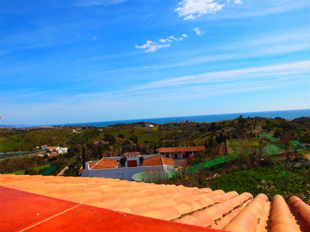 Finca - Cortijo Benajarafe Málaga - Bild 16