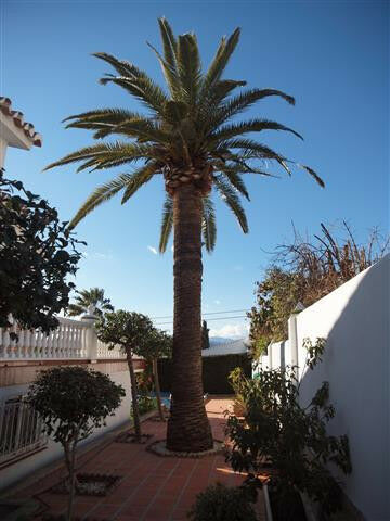 Detached Villa Caleta de Vélez Málaga - imagen 16