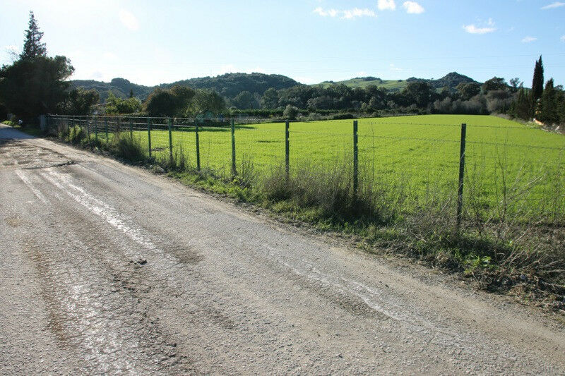 Finca - Cortijo Jimena de la Frontera Cádiz - imagen 16