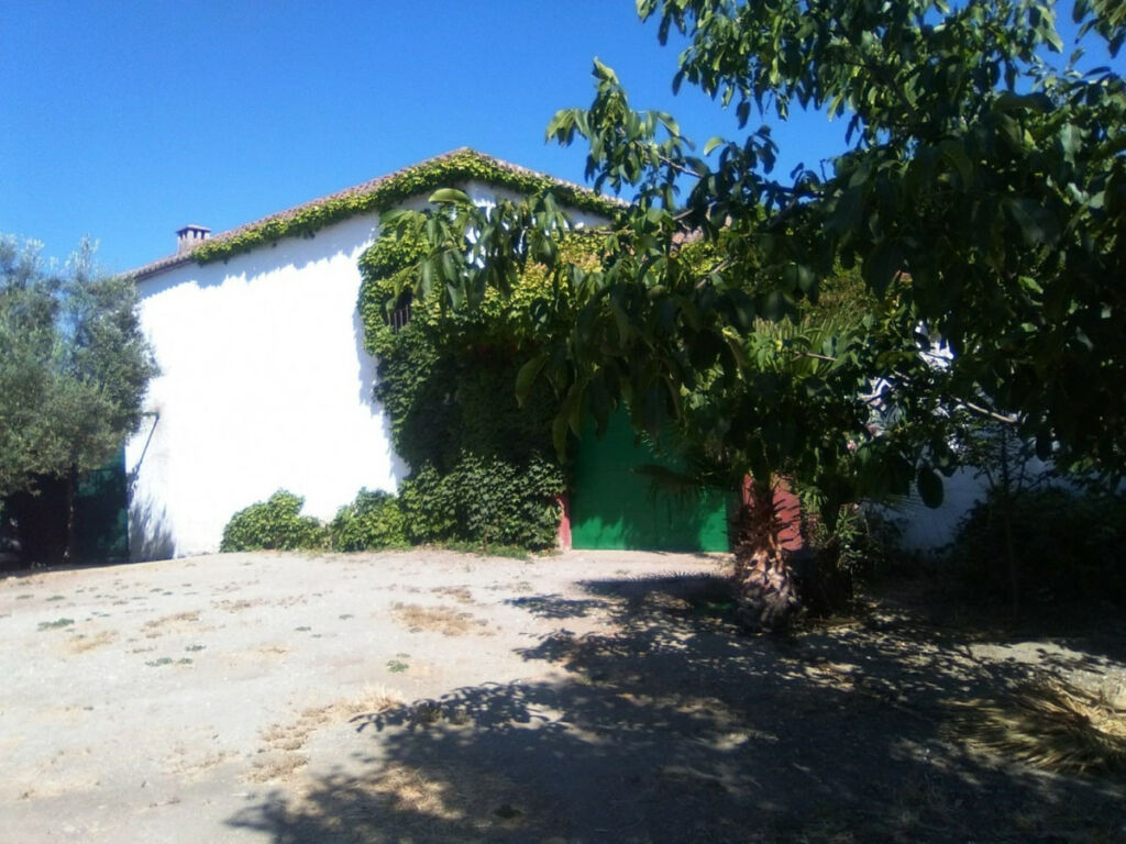 Finca - Cortijo Alcaucín Málaga - imagen 17