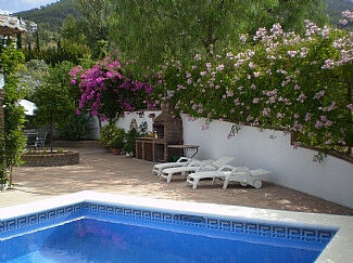 Finca - Cortijo Alcaucín Málaga - imagen 17