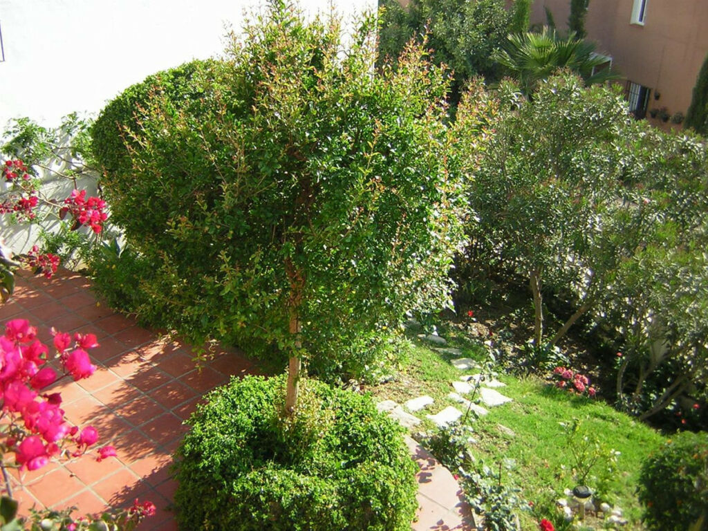 Detached Villa Chilches Málaga - imagen 17