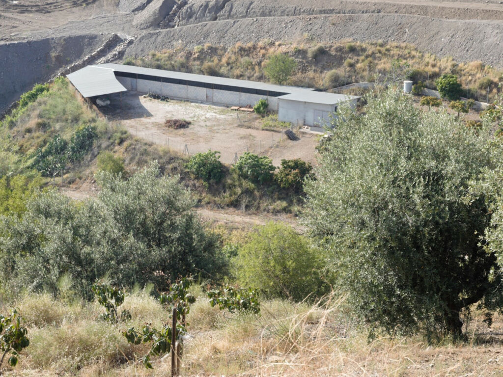 Detached Villa Vélez-Málaga Málaga - Bild 18