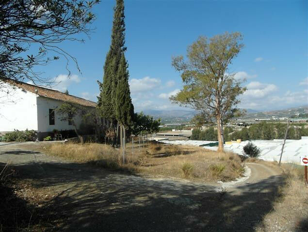 Finca - Cortijo Vélez-Málaga Málaga - imagen 18