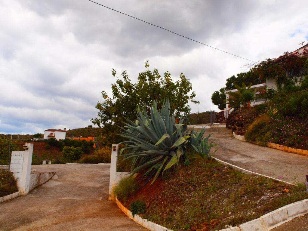 Finca - Cortijo Iznate Málaga - imagen 18