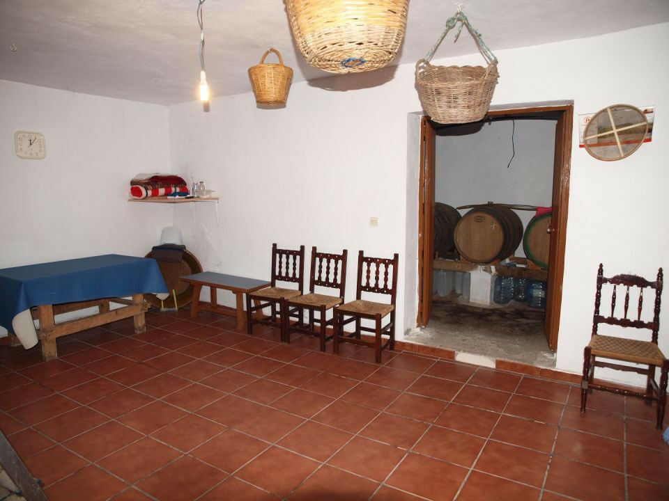Finca - Cortijo La Viñuela Málaga - imagen 18