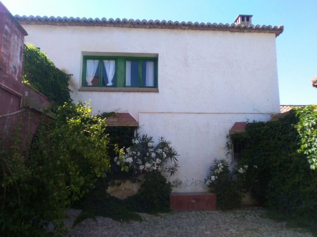 Finca - Cortijo Alcaucín Málaga - imagen 18