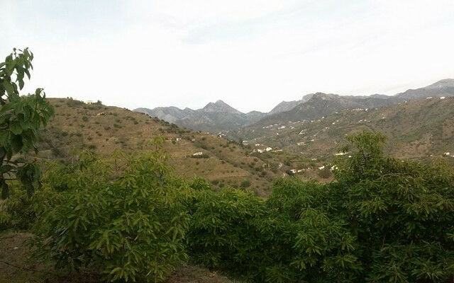 Finca - Cortijo Torrox Málaga - Bild 18