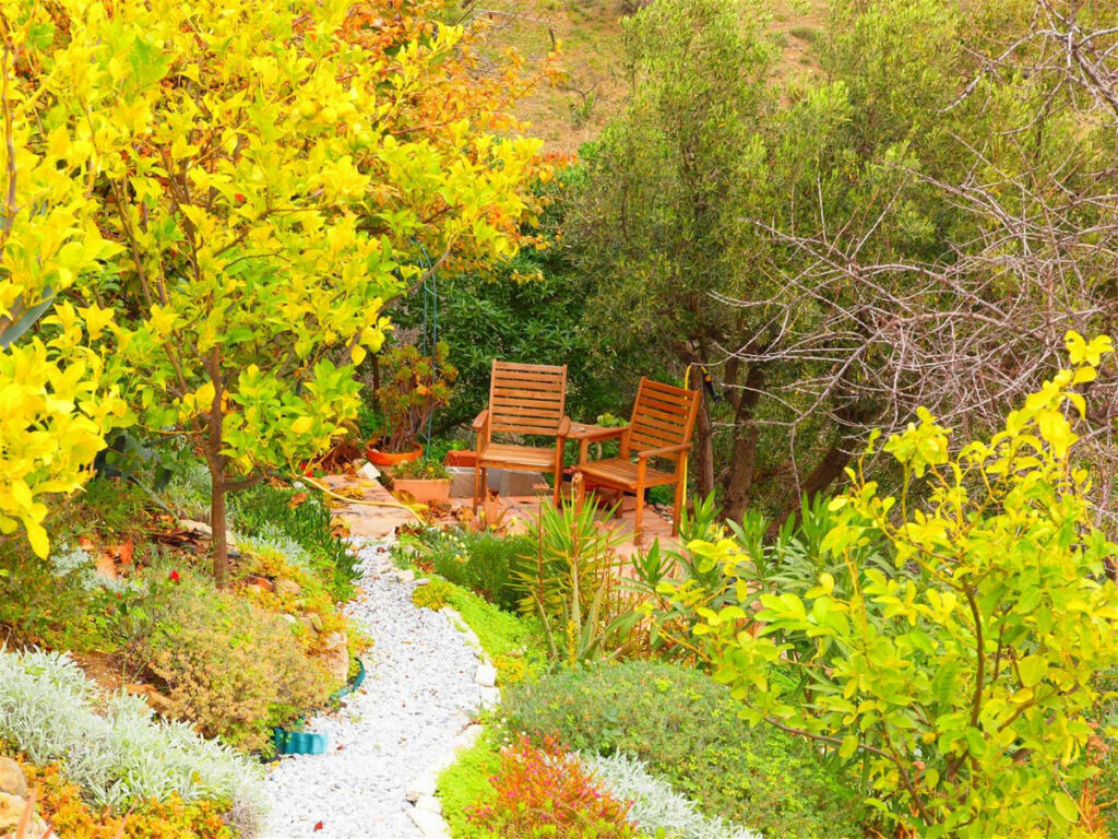 Finca - Cortijo Moclinejo Málaga - imagen 19
