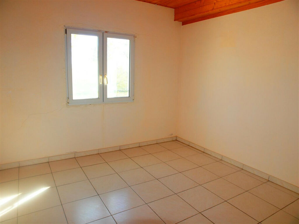 Finca - Cortijo Benajarafe Málaga - imagen 19