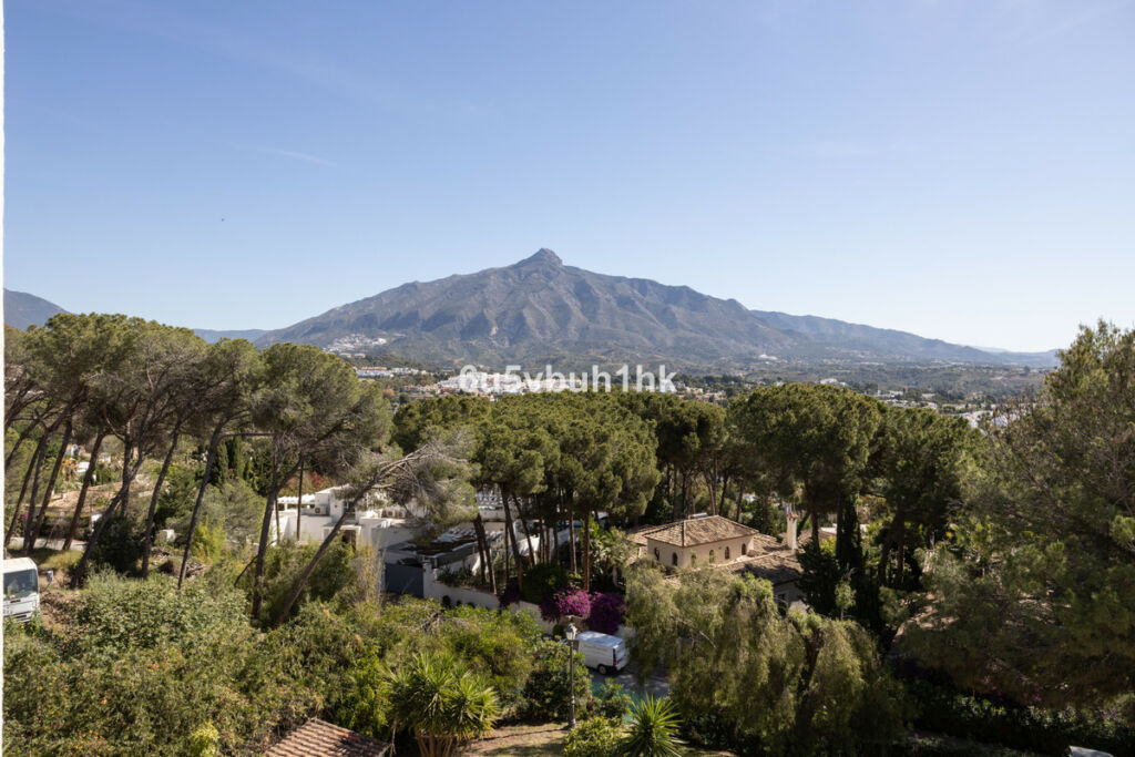 Middle Floor Apartment Nueva Andalucía Málaga - imagen 19