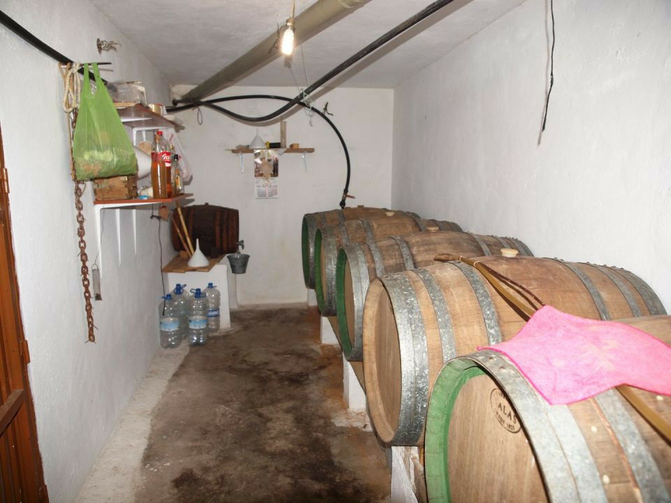 Finca - Cortijo La Viñuela Málaga - imagen 19
