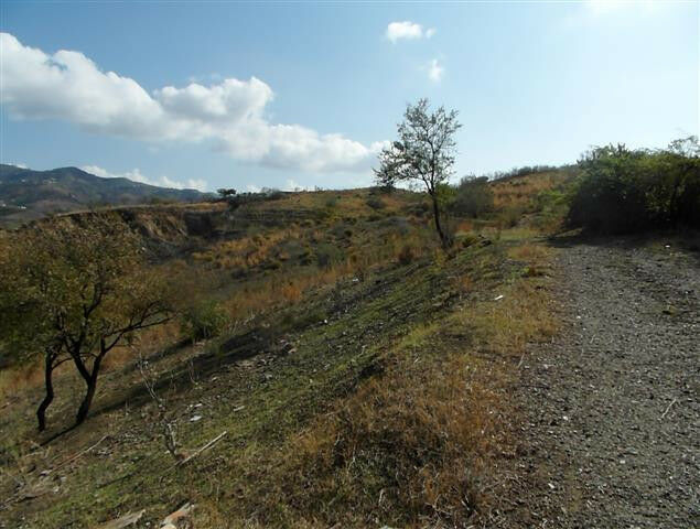 Finca - Cortijo Vélez-Málaga Málaga - imagen 19