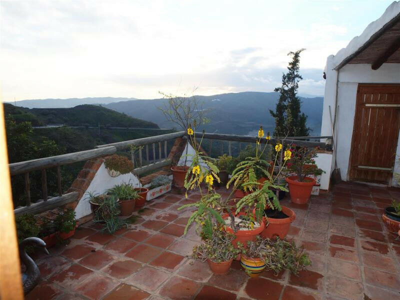 Finca - Cortijo Canillas de Aceituno Málaga - imagen 19