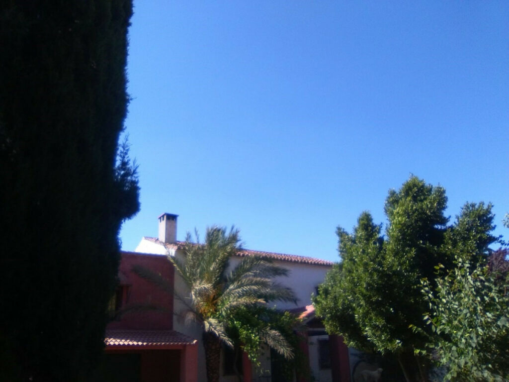 Finca - Cortijo Alcaucín Málaga - imagen 19