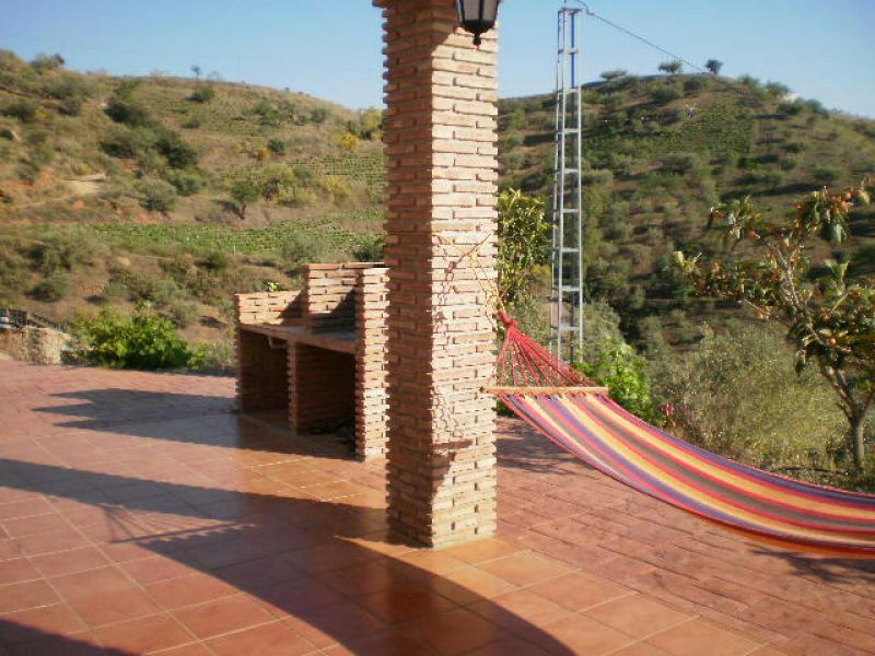 Finca - Cortijo Canillas de Aceituno Málaga - imagen 19