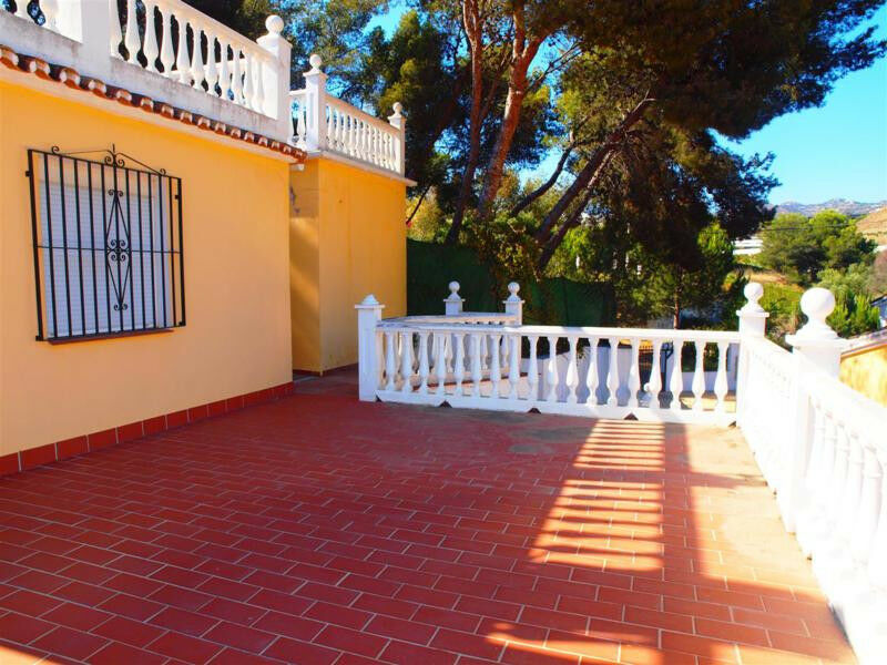 Finca - Cortijo Mezquitilla Málaga - imagen 19