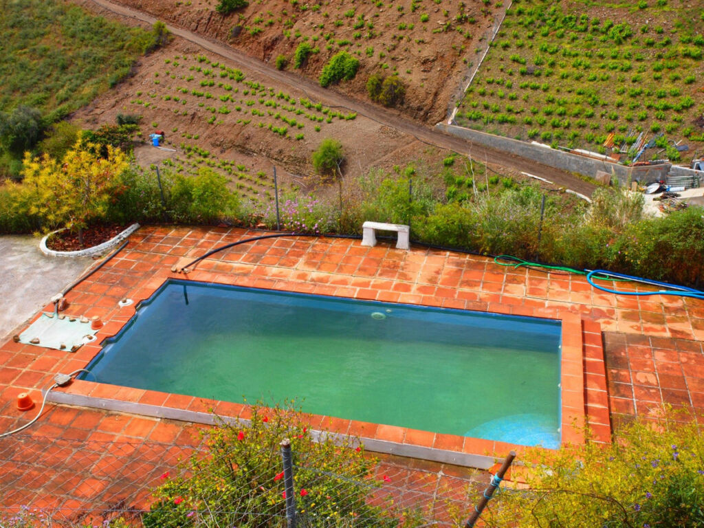 Finca - Cortijo Iznate Málaga - imagen 2
