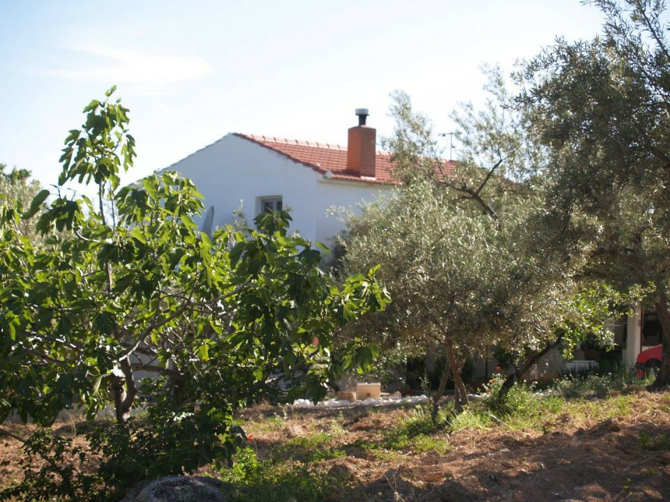 Finca - Cortijo Periana Málaga - imagen 2