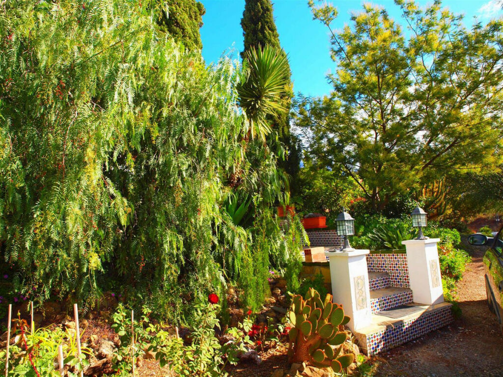 Finca - Cortijo Canillas de Aceituno Málaga - imagen 2