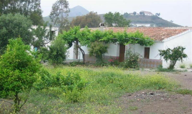 Finca - Cortijo Triana Málaga - Bild 2