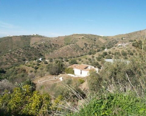Finca - Cortijo Canillas de Aceituno Málaga - imagen 2