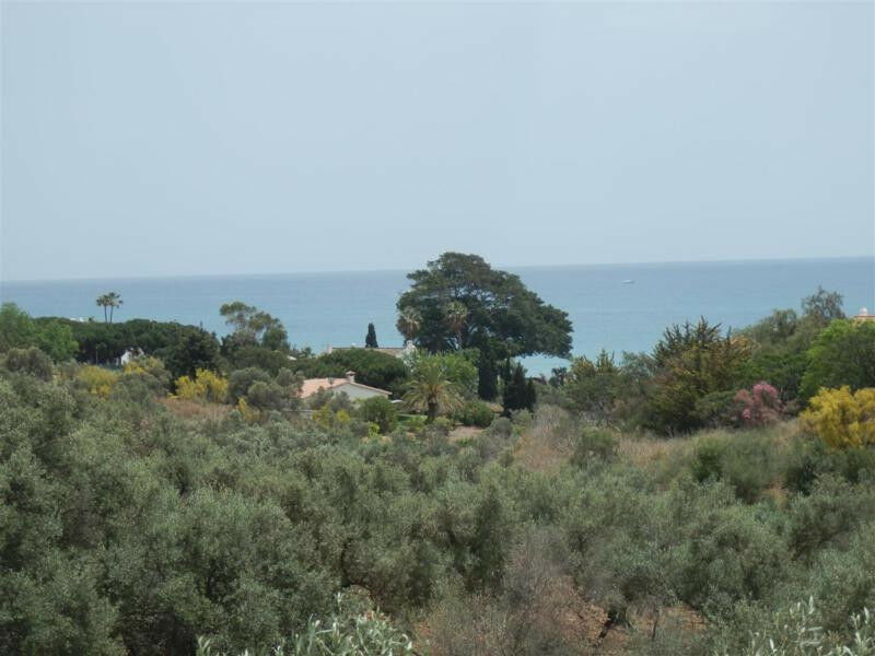 Detached Villa Chilches Málaga - Bild 2