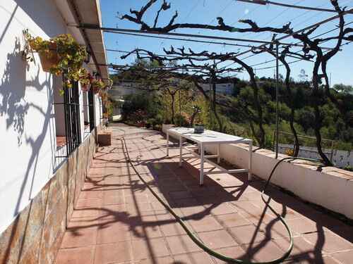 Finca - Cortijo Iznate Málaga - imagen 2