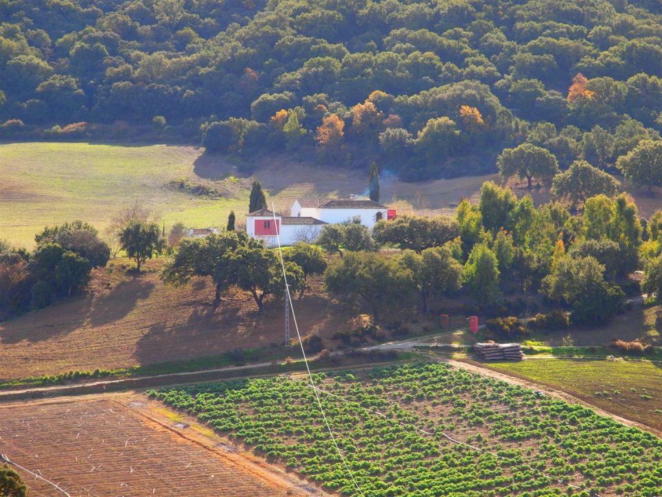 Finca - Cortijo Alcaucín Málaga - imagen 2
