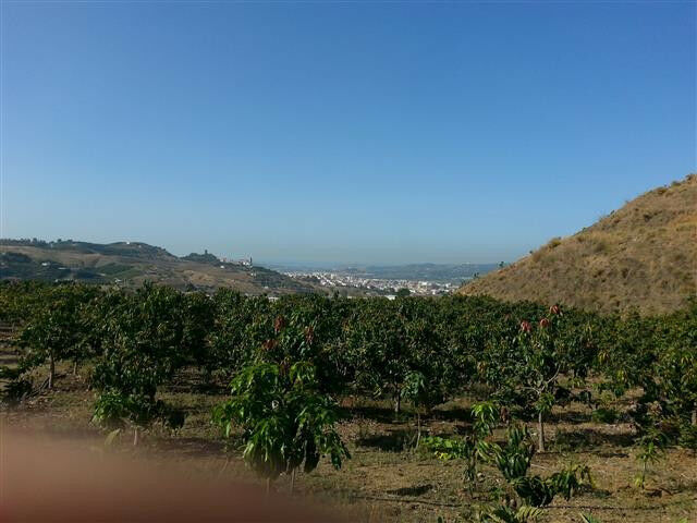 Land Arenas Málaga - imagen 2