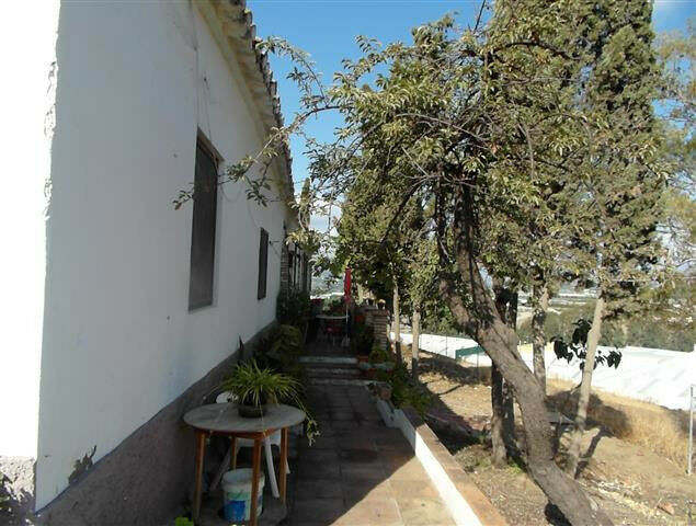 Finca - Cortijo Vélez-Málaga Málaga - imagen 2
