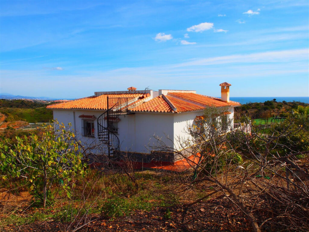 Finca - Cortijo Benajarafe Málaga - Bild 2