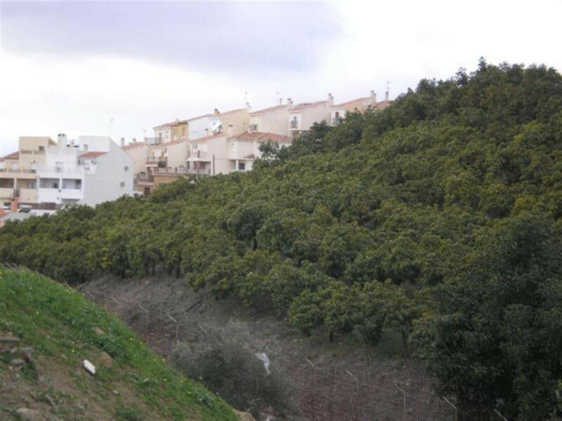 Land Vélez-Málaga Málaga - imagen 2