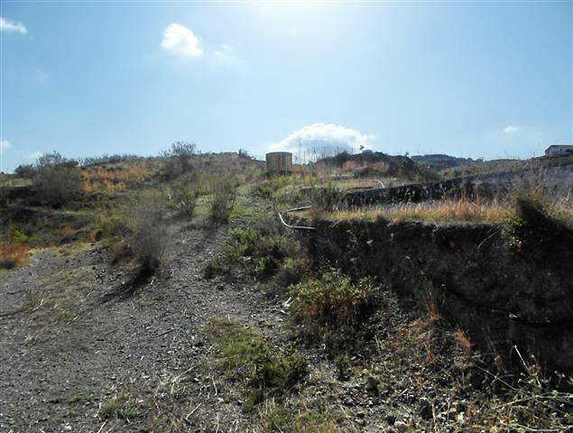 Finca - Cortijo Vélez-Málaga Málaga - imagen 20