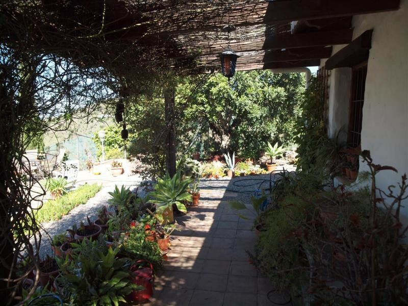 Finca - Cortijo Sedella Málaga - imagen 21
