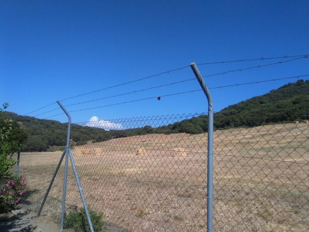 Finca - Cortijo Alcaucín Málaga - imagen 21