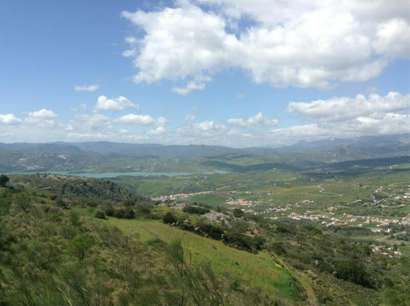 Finca - Cortijo Canillas de Aceituno Málaga - imagen 21