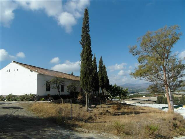 Finca - Cortijo Vélez-Málaga Málaga - imagen 22