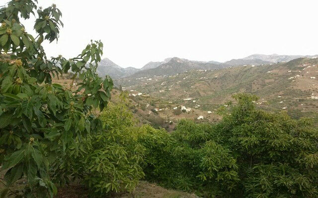 Finca - Cortijo Torrox Málaga - Bild 22