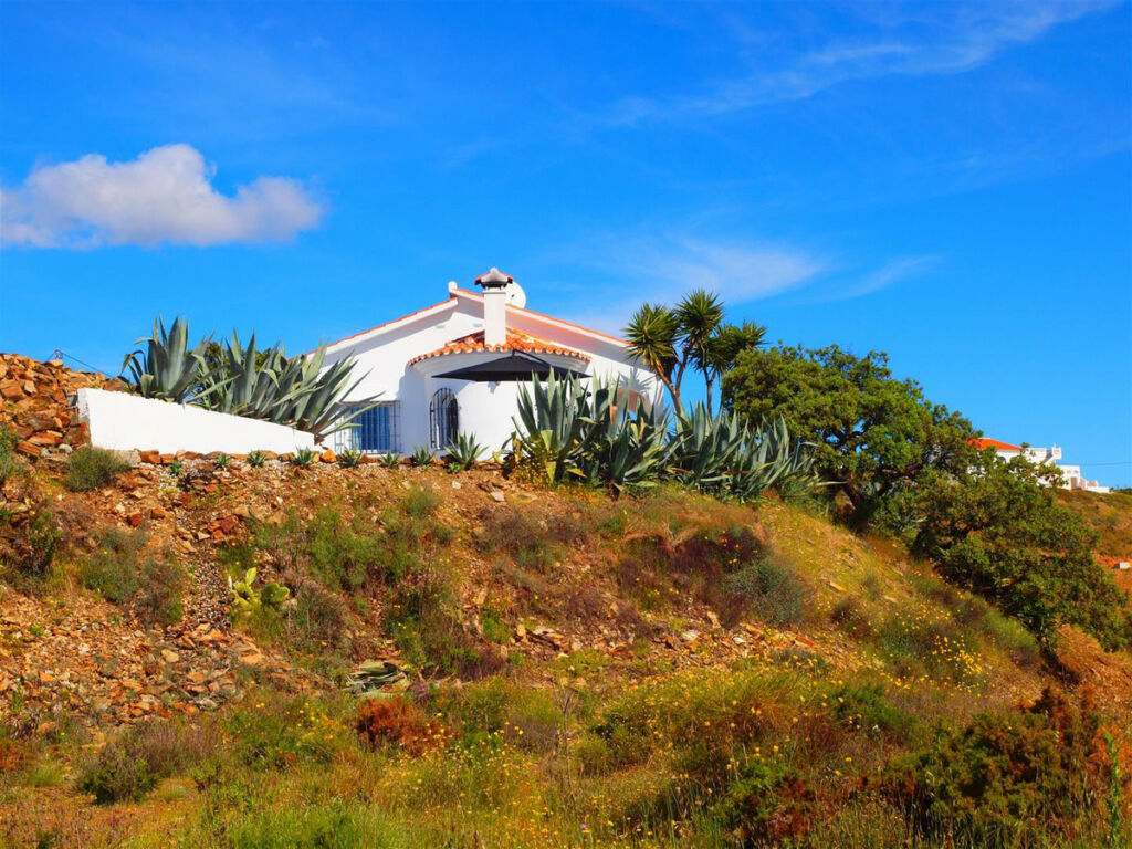 Finca - Cortijo Moclinejo Málaga - imagen 22