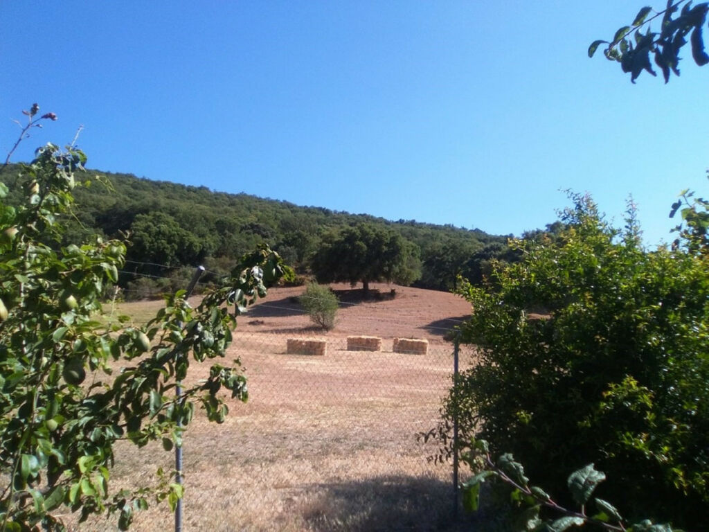 Finca - Cortijo Alcaucín Málaga - imagen 23