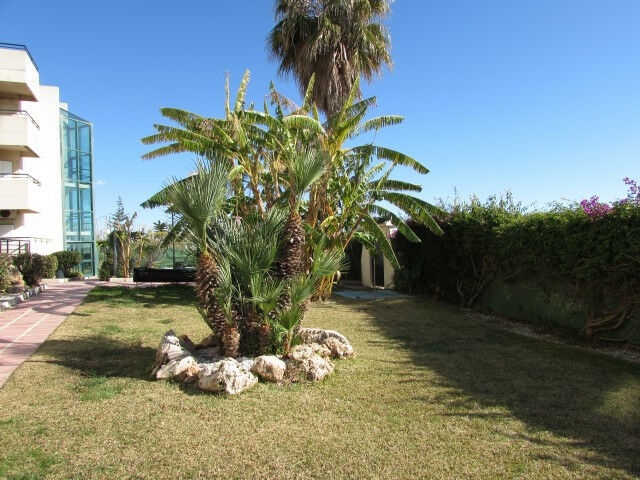 Ground Floor Apartment Benajarafe Málaga - imagen 24