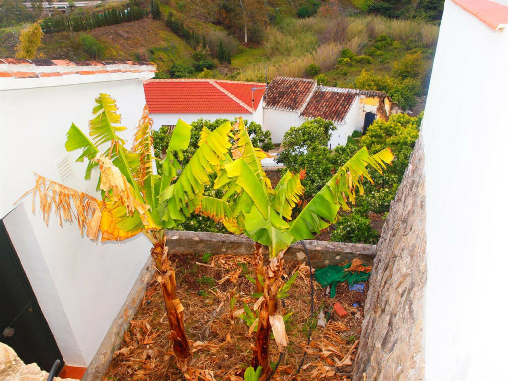 Finca - Cortijo Viñuela Málaga - imagen 24