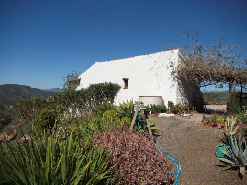 Finca - Cortijo Sedella Málaga - imagen 24